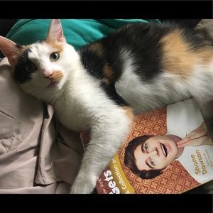 Meet your Posher, Luna